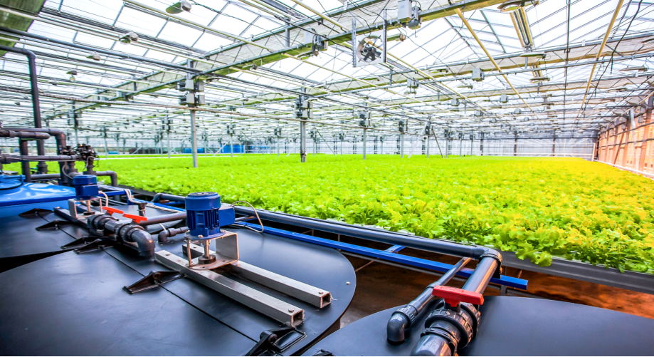 水肥一體化 水肥一體化